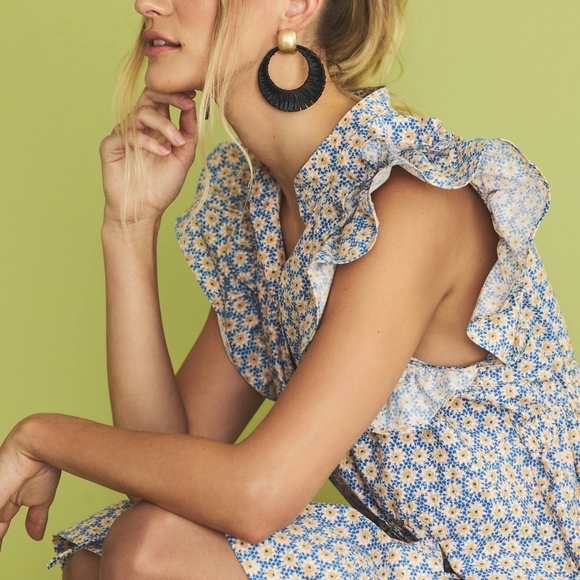 Anthropologie Floral Ruffle Sleeve Dress - Blue and White - Picture 4 of 9